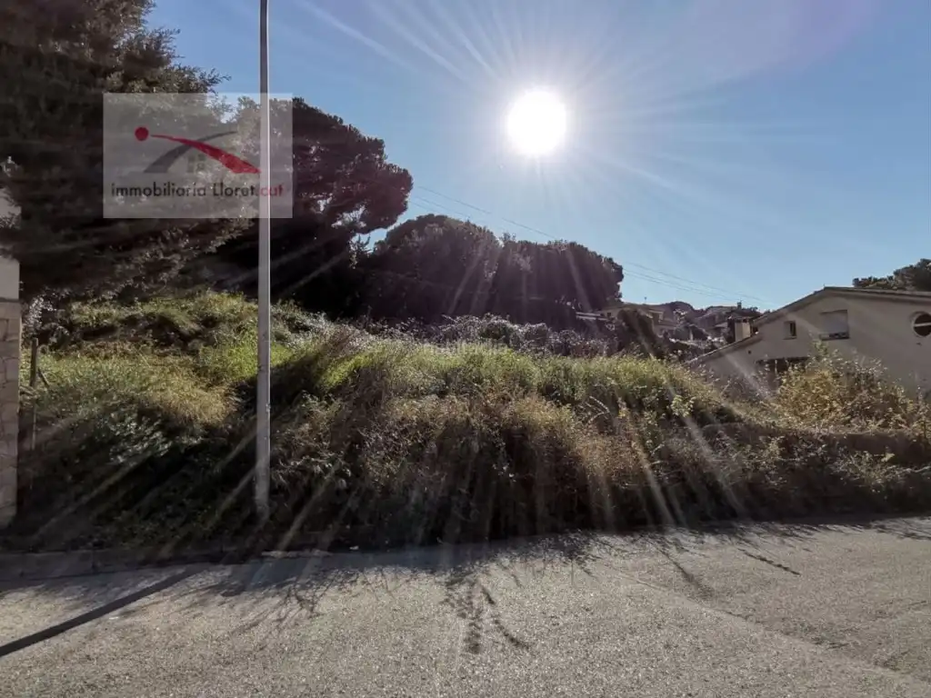 Terreno residencial en venta en Carrer d'Antonio Machado 27, imagen 2