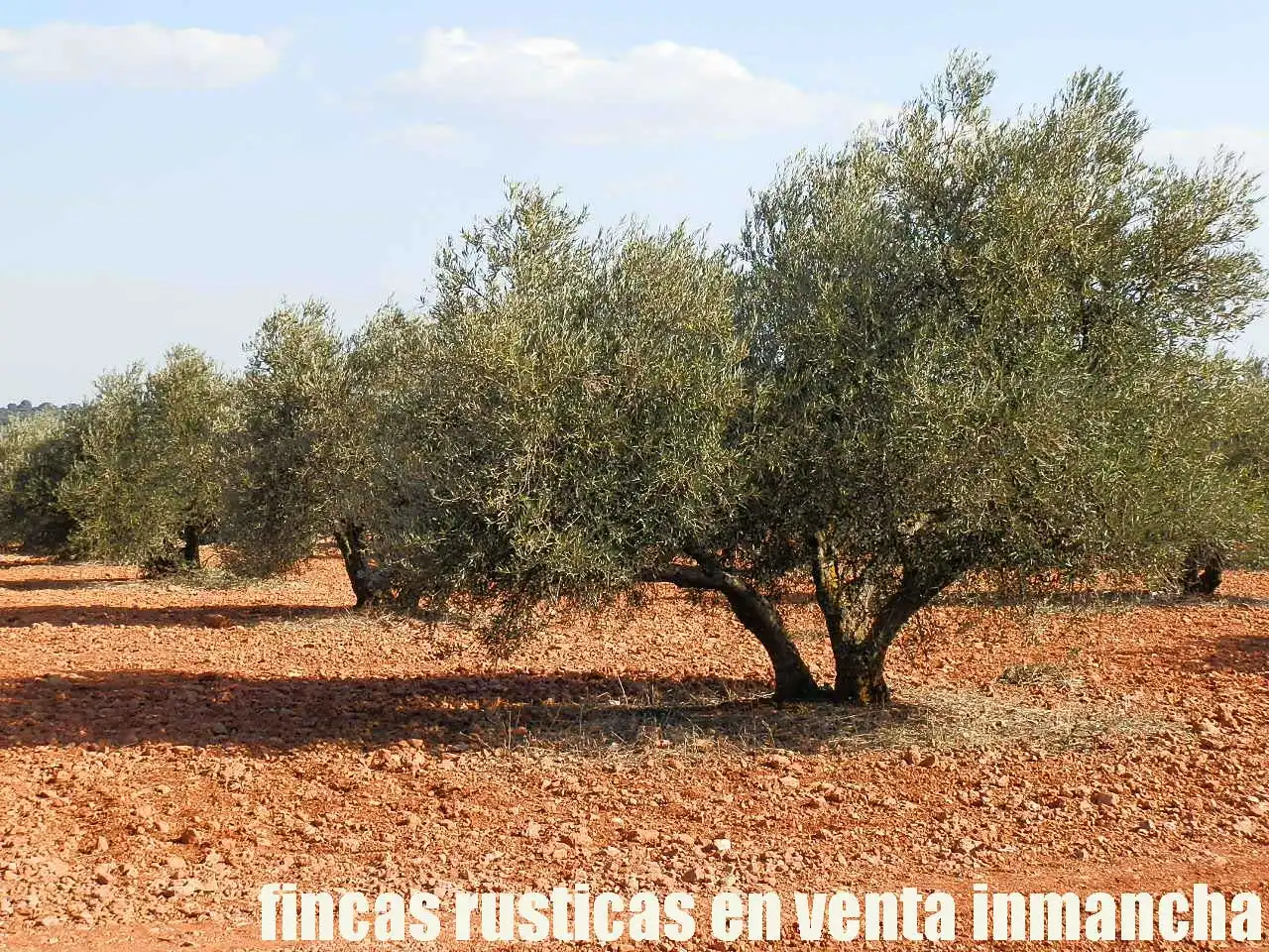 Terreno rustico in vendita a Ruidera, imagen 3