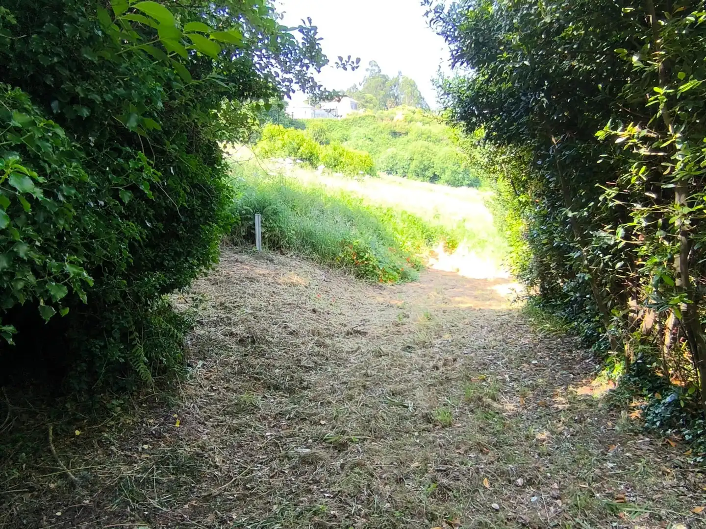 Terrenys i solars en venda a Lugar VILARNOVO, imagen 10