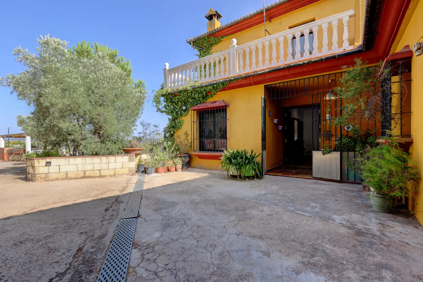 Garden of Country homes for sale in Ronda  with Private garden, Terrace and Swimming Pool