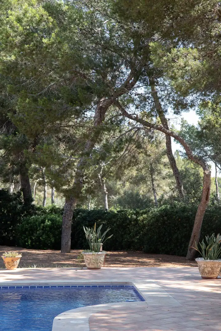 Houses for sale in Sol de Mallorca