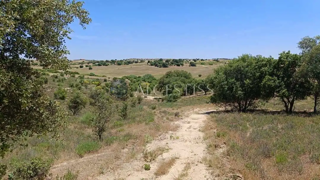 Terreno en venta en La Torre de Esteban Hambrán