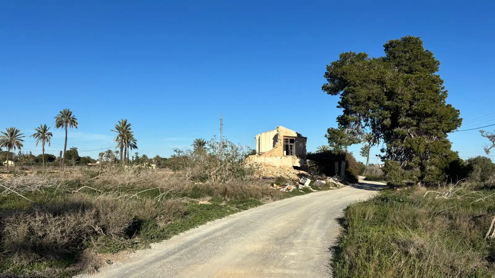 Grundstücke zum Verkauf in Elche / Elx