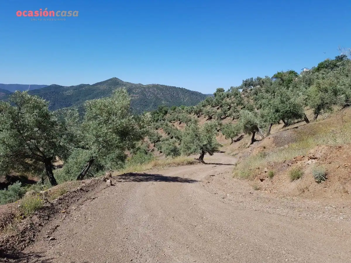 Vista exterior de Finca rústica en venta en Villanueva de Córdoba con Jardín privado, Trastero y Amueblado