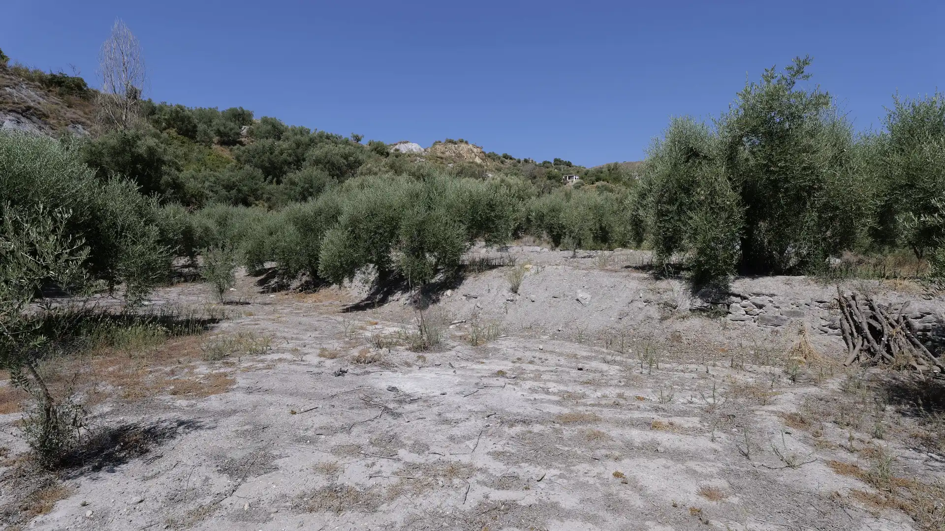 Terreno en venta en Válor