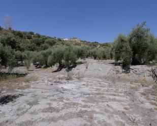 Land for sale in Válor