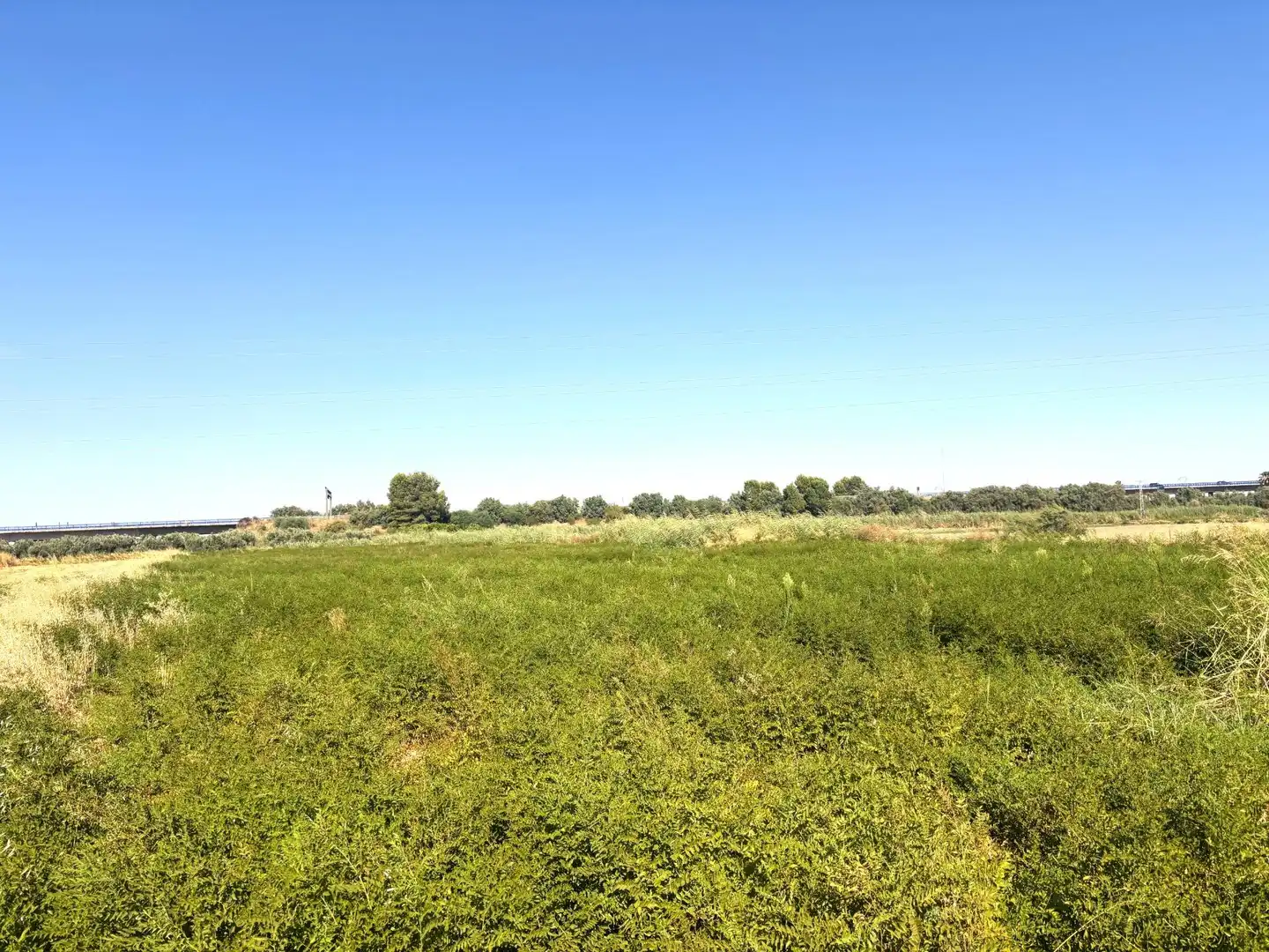 Terreno en venta en Santiponce