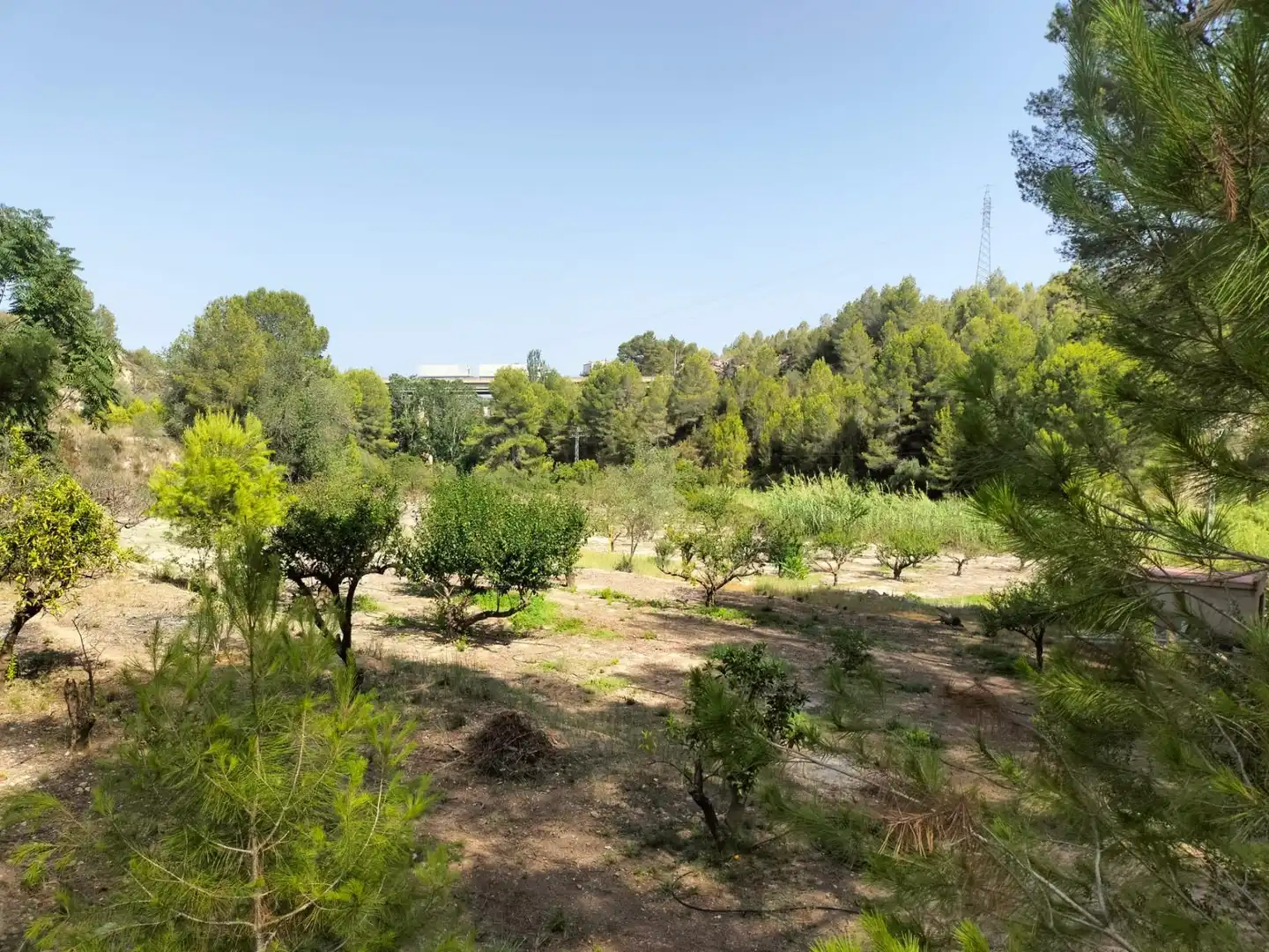 Local en venta en L'Alcúdia de Crespins