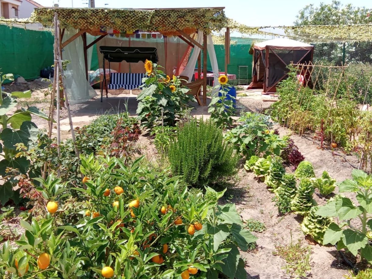 Garden of Land for sale in Sueca