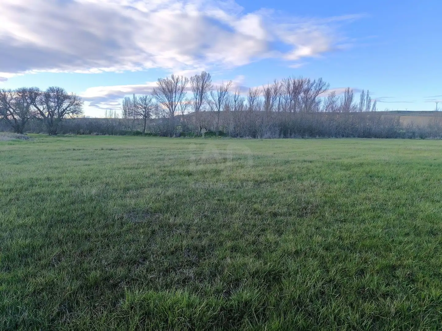 Land for sale in Pajares de los Oteros