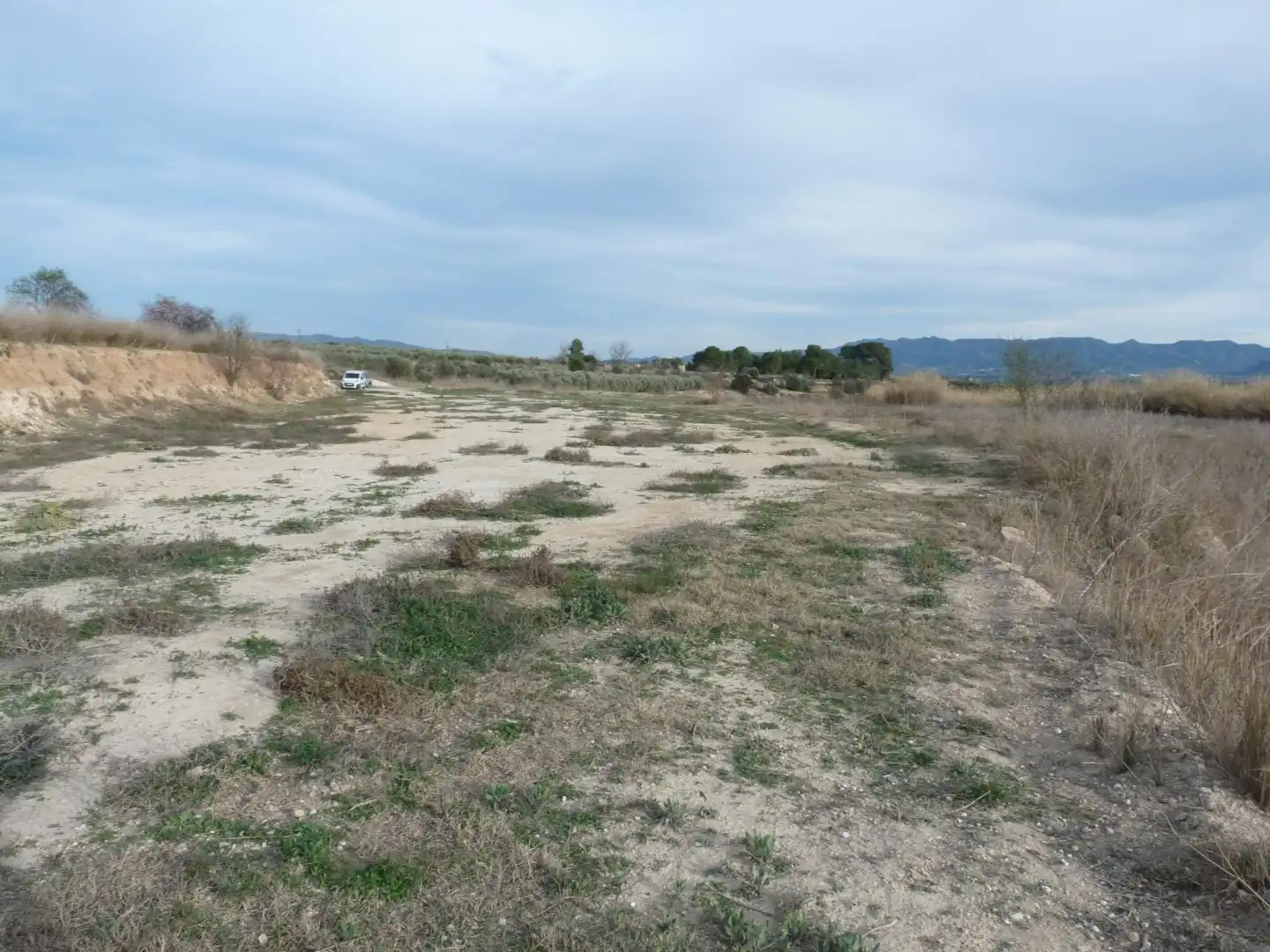 Land for sale in Benissuera