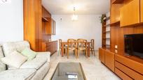 Living room of Flat for sale in  Granada Capital  with Air Conditioner, Heating and Private garden