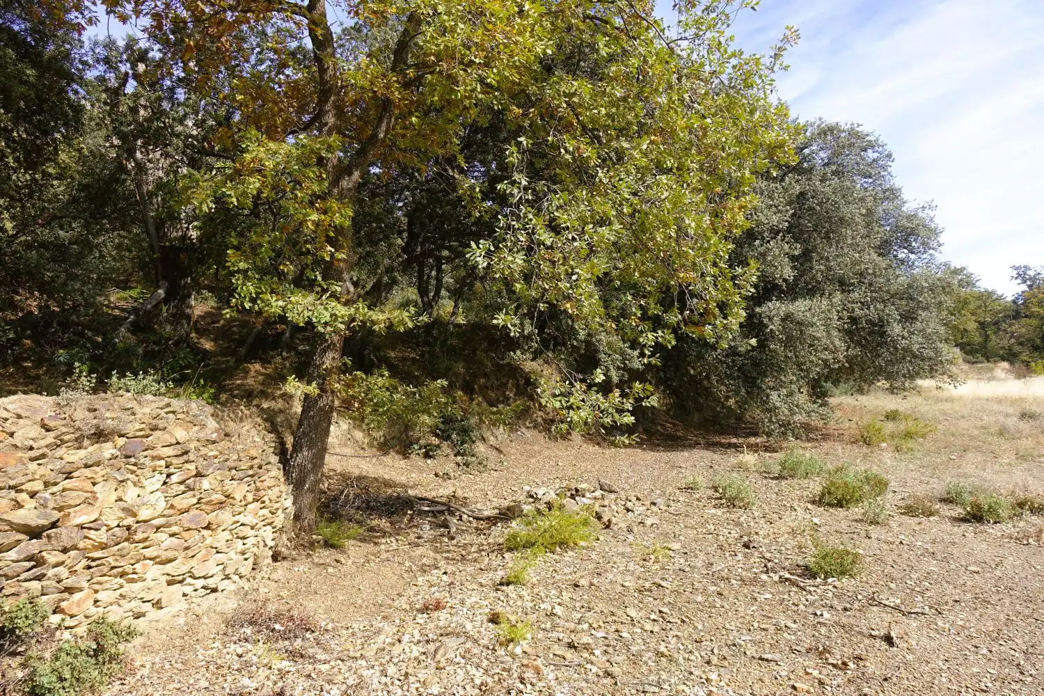 Country homes for sale in Pórtugos