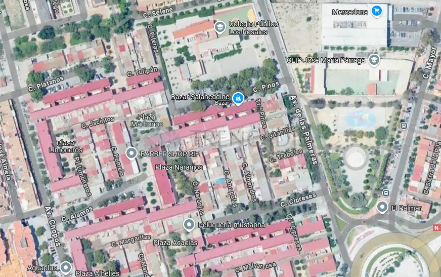 Appartement à vendre à Pinos, imagen 2