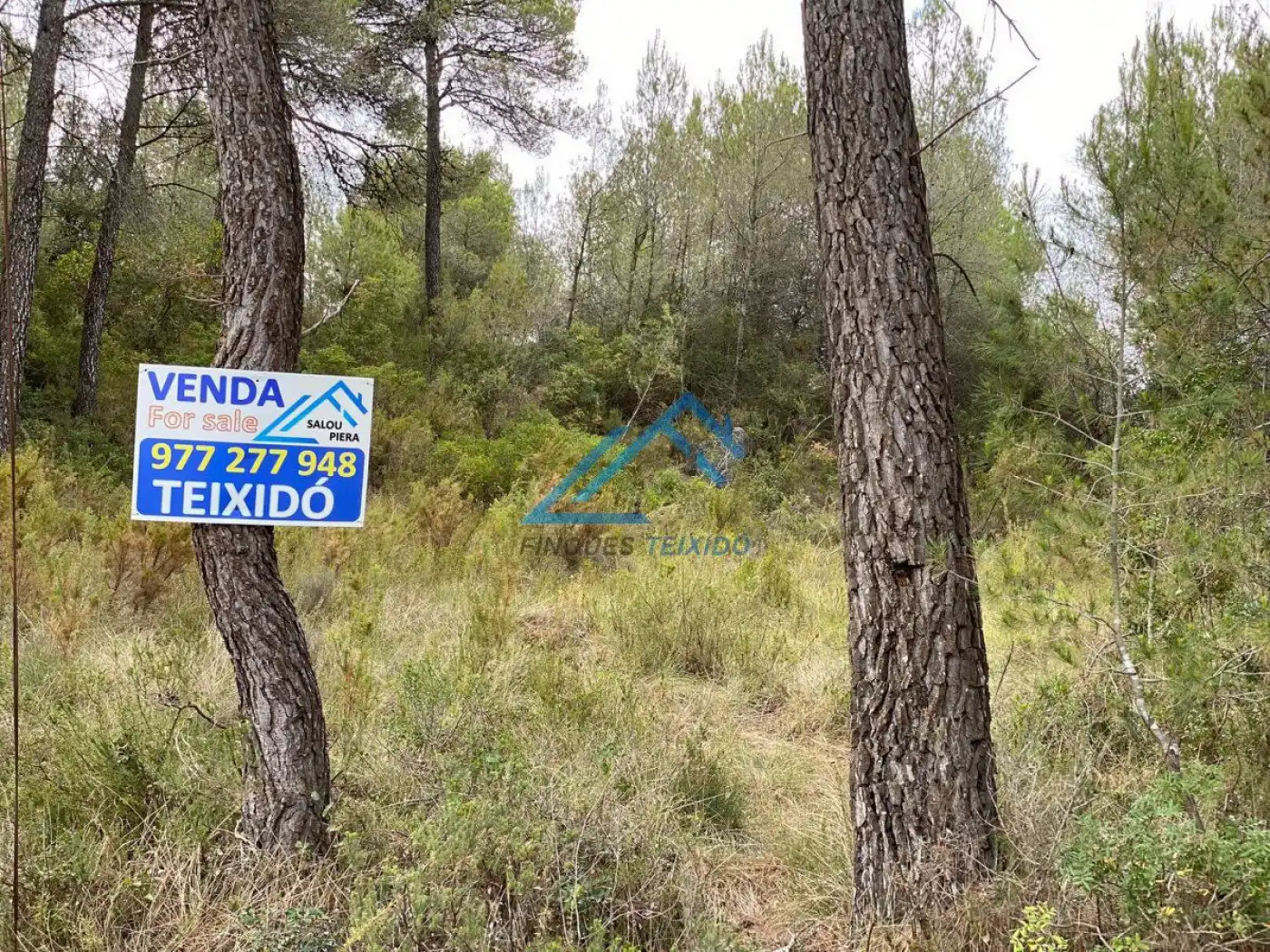 Residential land for sale in Urbanizacion Urbanizacion MOIXETA XLII, 15, puerta C, imagen 3