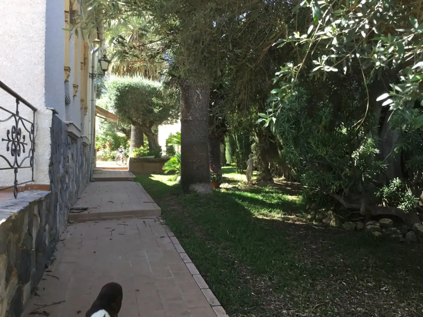 Jardín de Casa o chalet en venta en Murcia con Piscina y Amueblado
