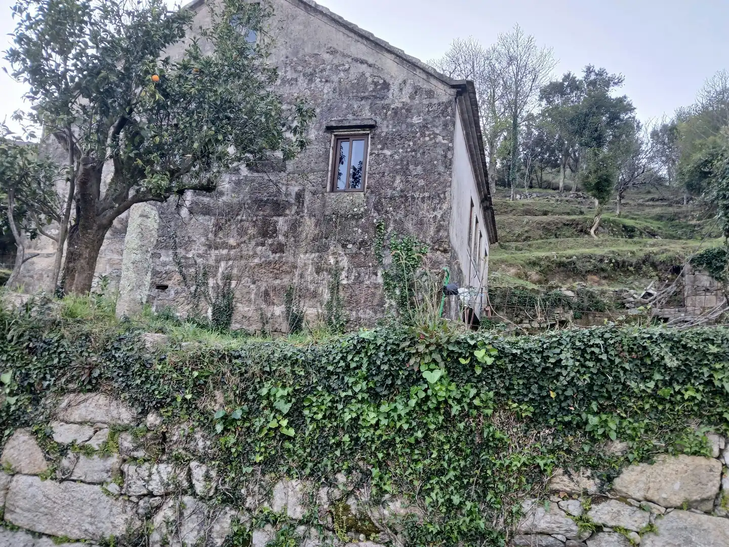 Vista exterior de Casa o chalet en venta en As Neves   con Jardín privado