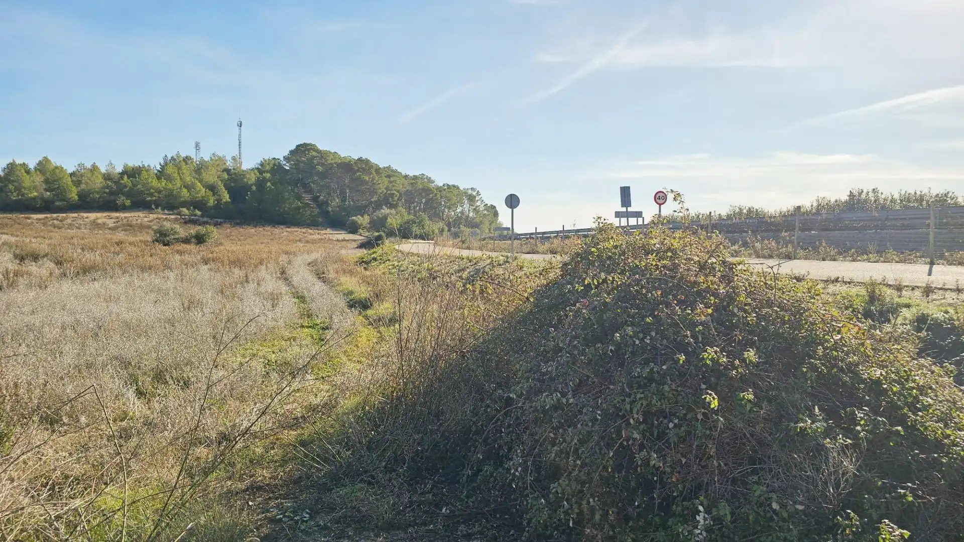 Rural land for sale in Sant Joan, imagen 4