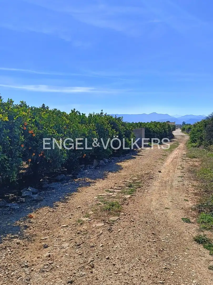 Lands and plots for sale in Els Poblets, imagen 2