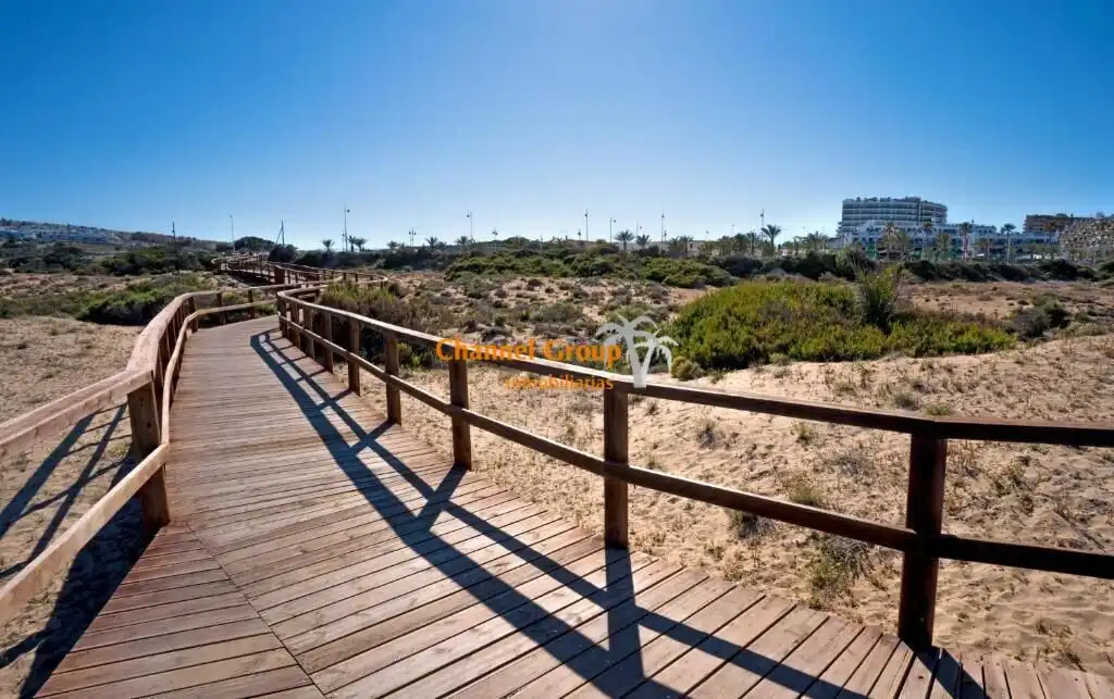 Exterior view of Apartments for rent in Elche / Elx  with Terrace, Storage room and Furnished