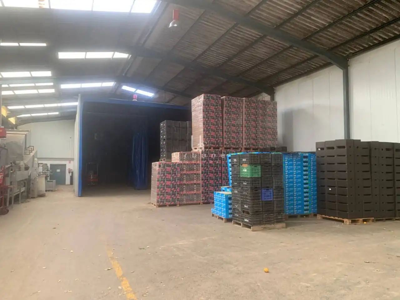 Nau industrial en venda en Murcia