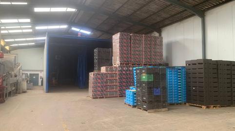 Photo 3 of Industrial buildings for sale in Calle  Vereda las Palmeras, Los Ramos,  Murcia Capital