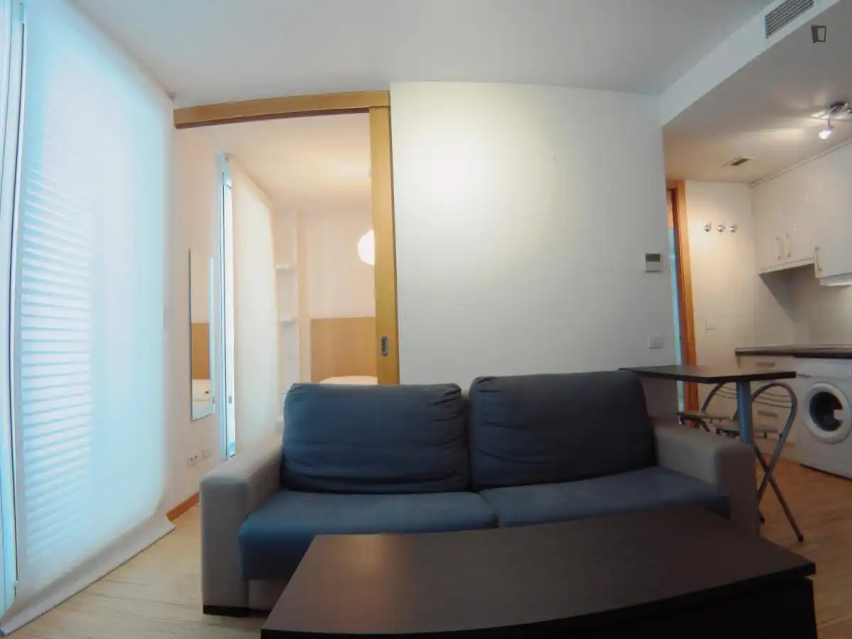 Apartment to rent in Centro, imagen 7