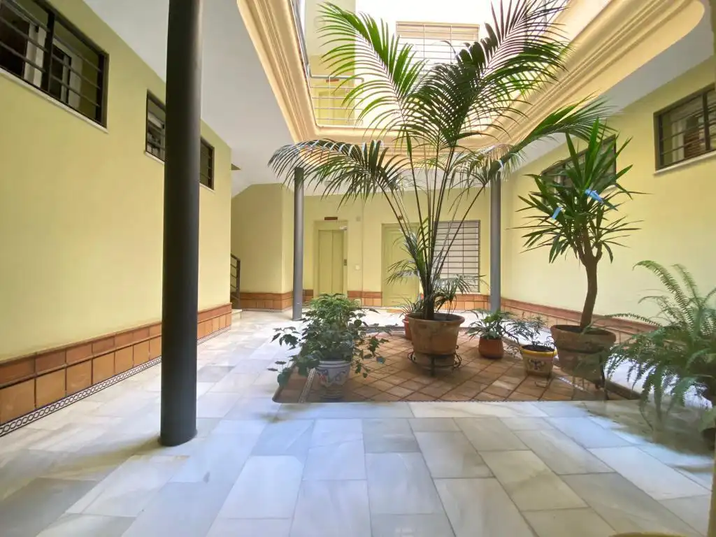 Flat for rent in Jerez de la Frontera