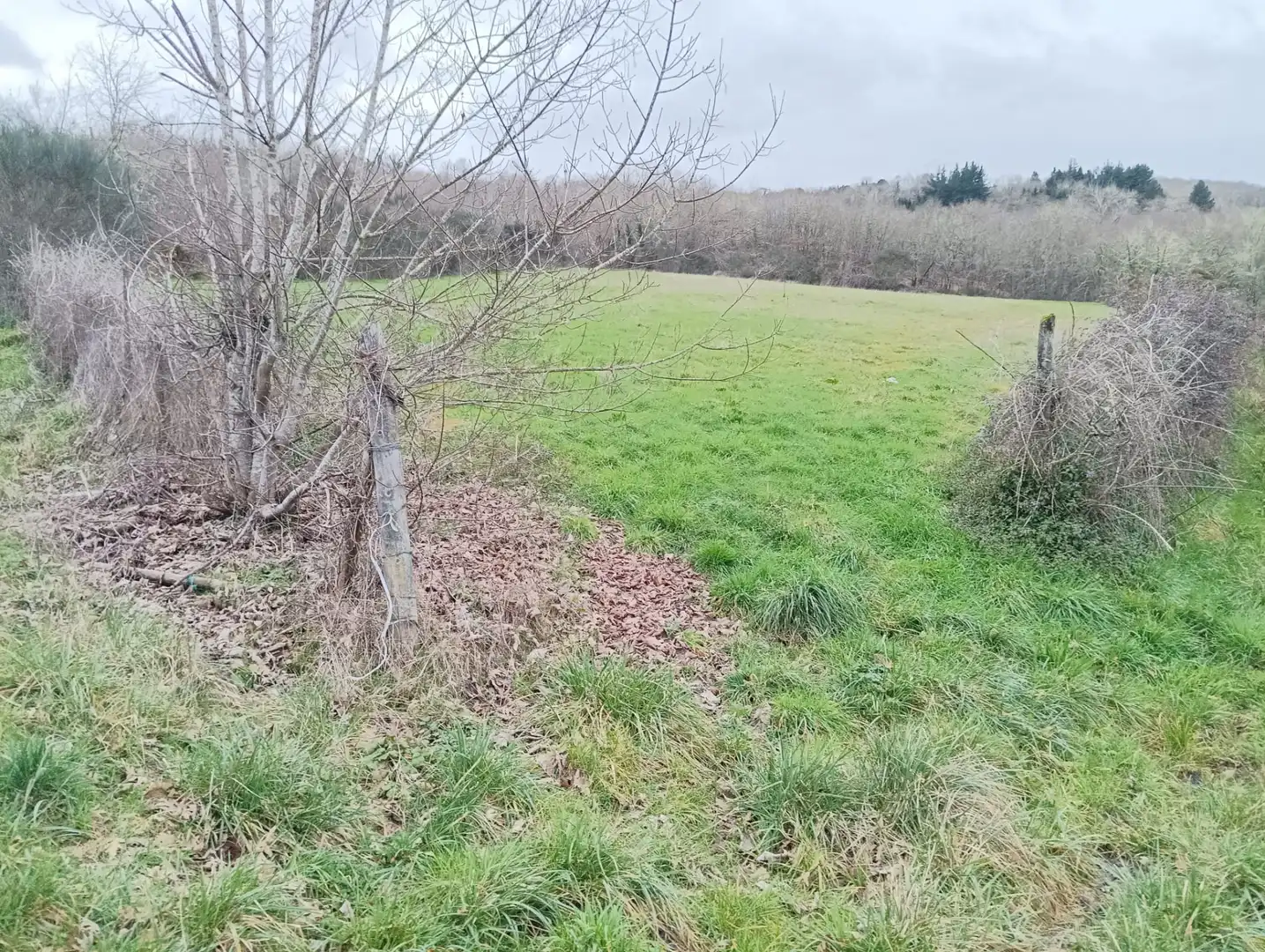Finca rústica en venta en Becerreá