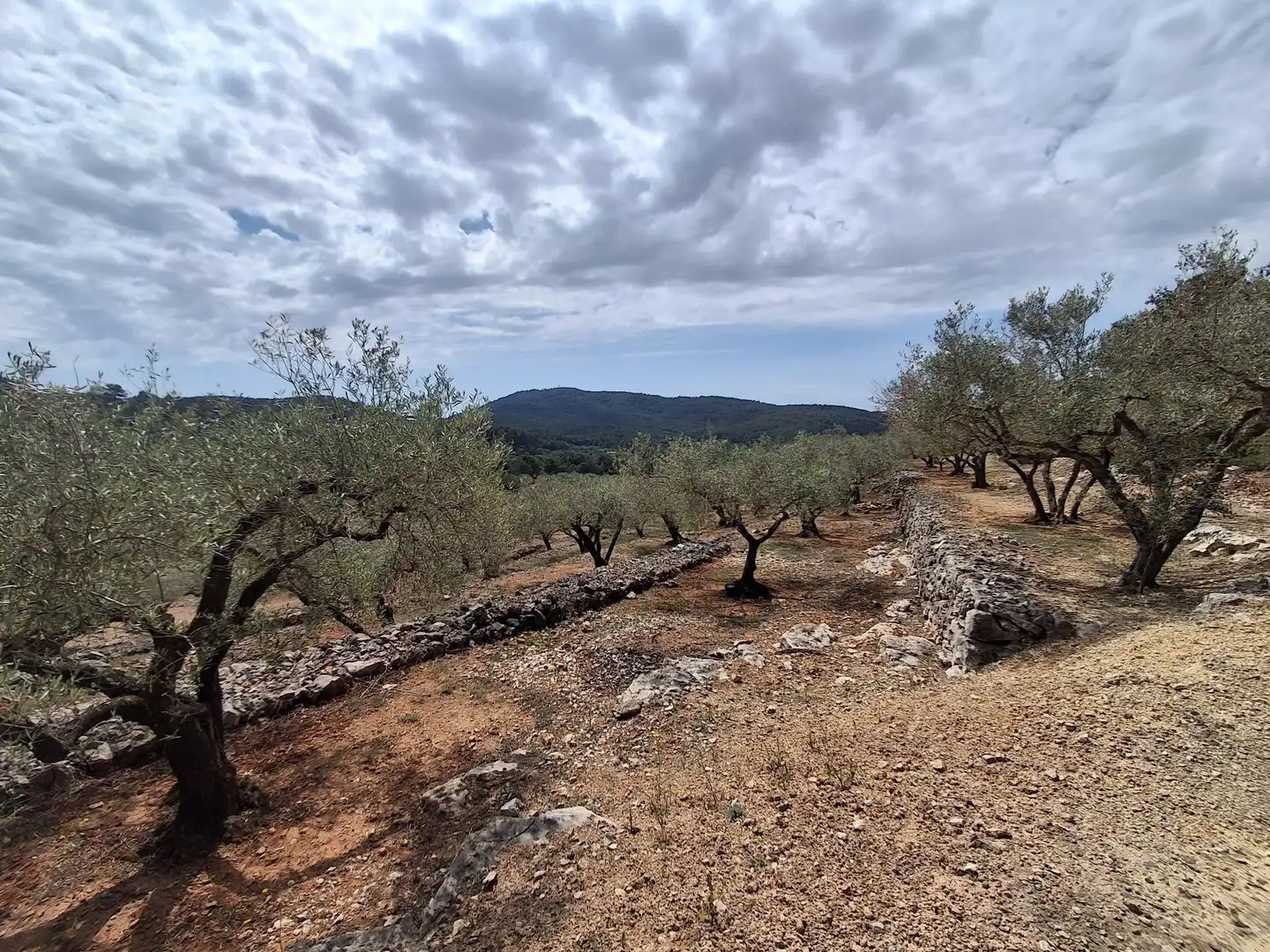 Terreno rustico in vendita a El Perelló, imagen 70