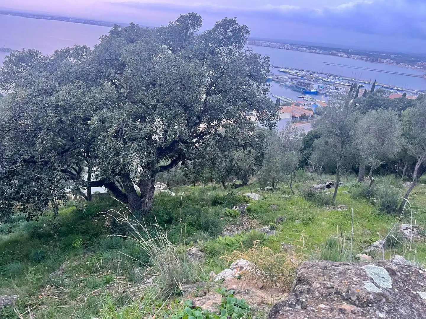 Terrenys i solars en venda a Pasaje de Marià Aguiló 19, imagen 28