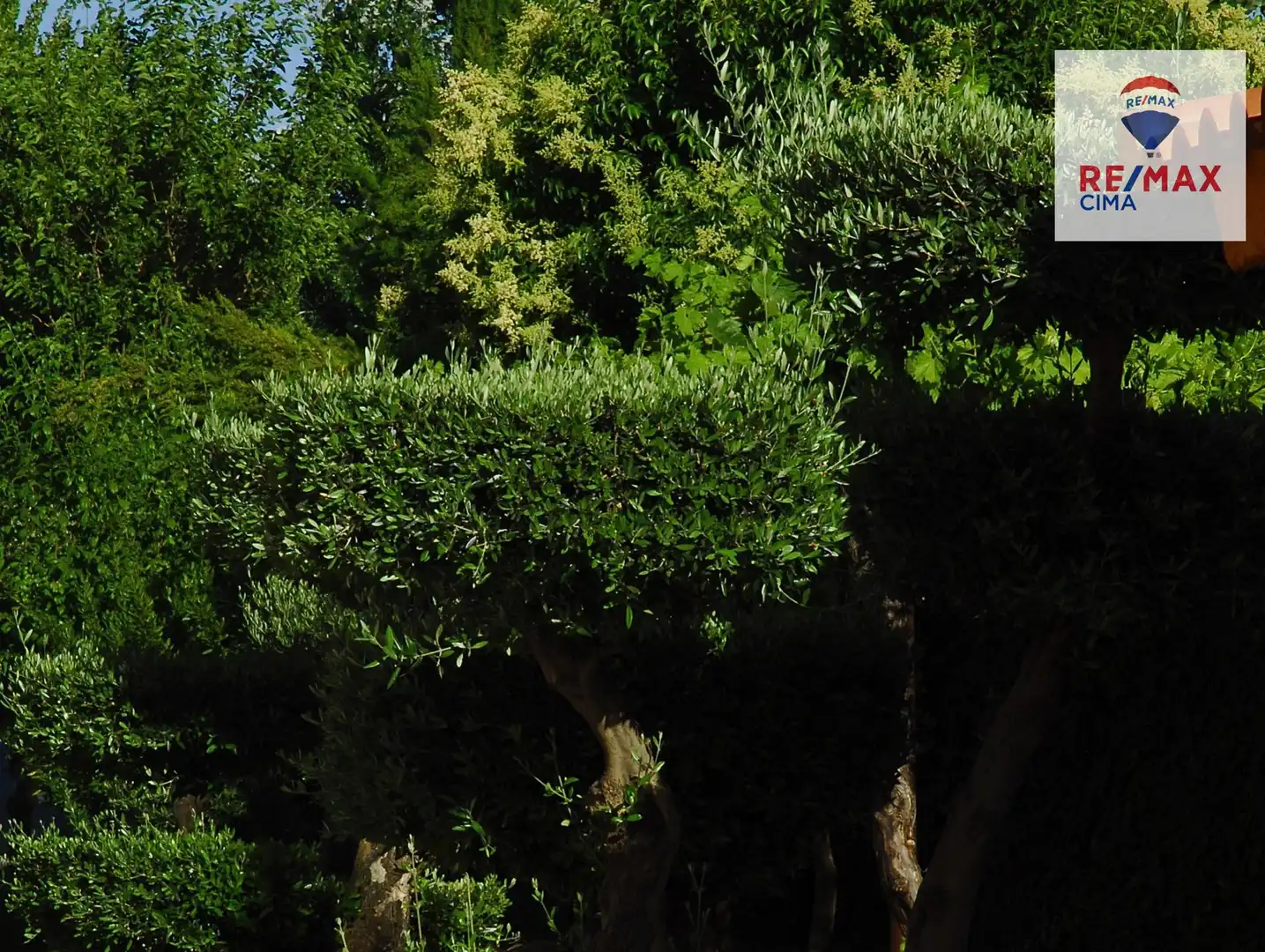 Jardí de Casa o xalet en venda en Baza amb Aire condicionat, Calefacció i Jardí privat