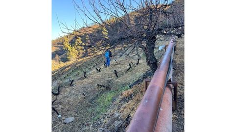 Foto 4 de Terreno en venta en N/a, Tijarafe, Santa Cruz de Tenerife