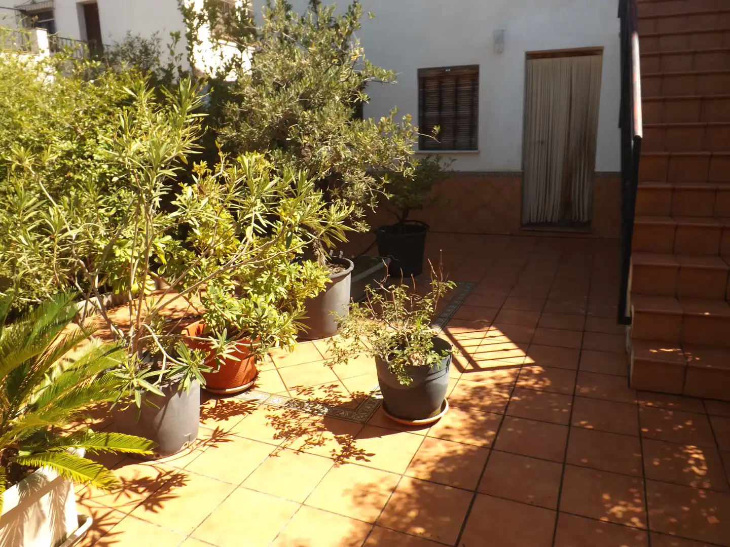 Villa mit Garten zum Verkauf in Calle Cordoba, imagen 27