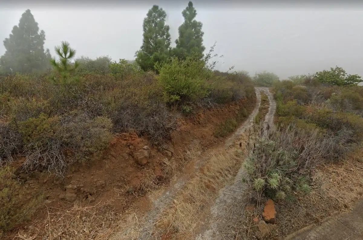 Rural land for sale in ARAFO, imagen 2