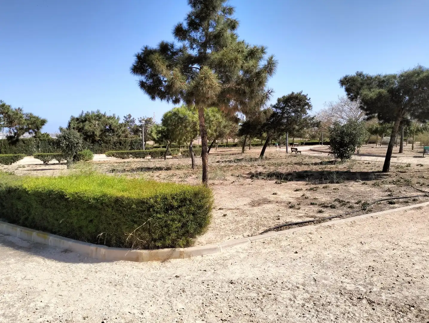 Villa con piscina in vendita a Los Montesinos, imagen 39