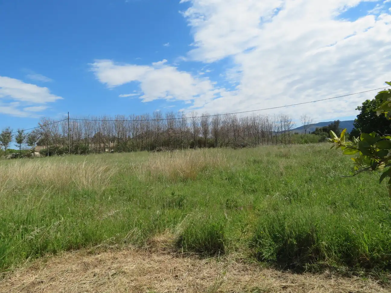Maison rustique avec jardin à vendre à Ondara, imagen 7
