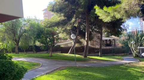 Photo 5 of Flat to rent in Carrer Zeus, Albufereta, Alicante