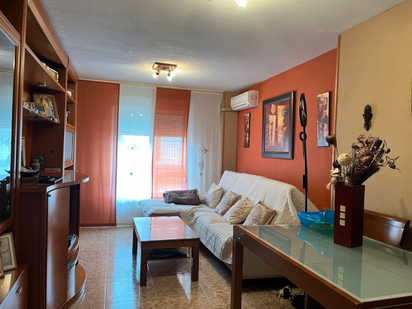 Sala d'estar de Pis en venda en Miguelturra amb Aire condicionat, Calefacció i Jardí privat