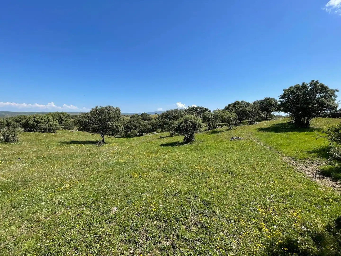 Terreni e lotti in vendita a Garrovillas de Alconétar, imagen 16