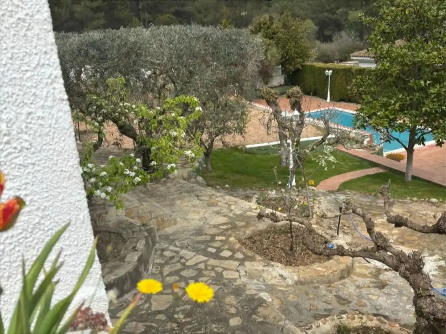 Jardí de Pis de lloguer en Aiguamúrcia amb Jardí privat, Traster i Piscina