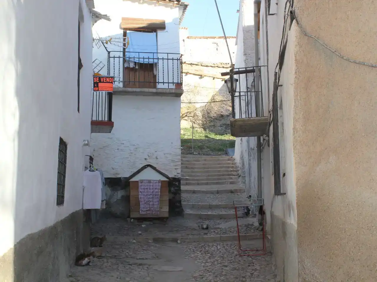 Vista exterior de Casa adosada en venda en Alquife