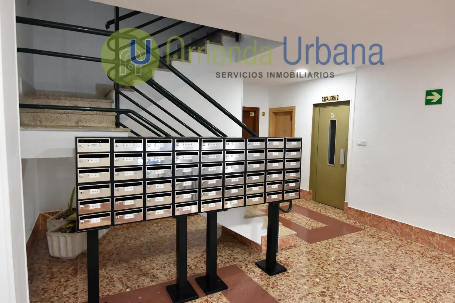 Exterior view of Flat for sale in Elche ciudad