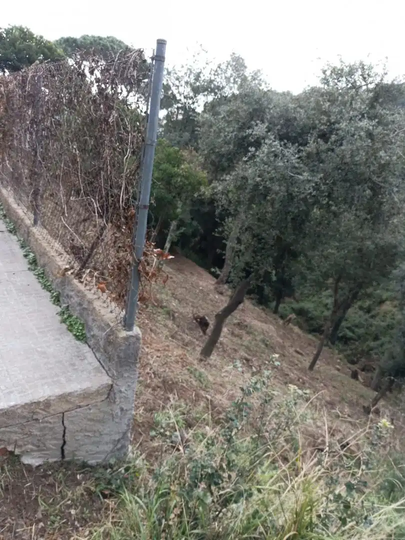 Wohnbaugrundstück zum Verkauf in Morera 2, imagen 5