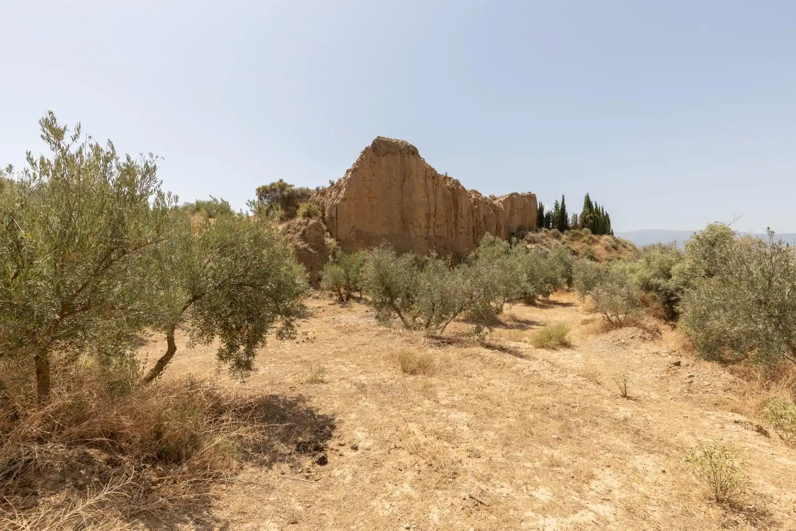 Terreni e lotti in vendita a Guadix, imagen 10