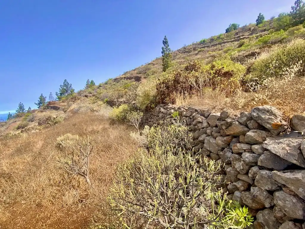 Rural land for sale in Guía de Isora interior, imagen 13