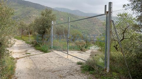 Foto 3 von Grundstücke zur Miete in A-7001, Km. 1, Olías, Málaga Capital