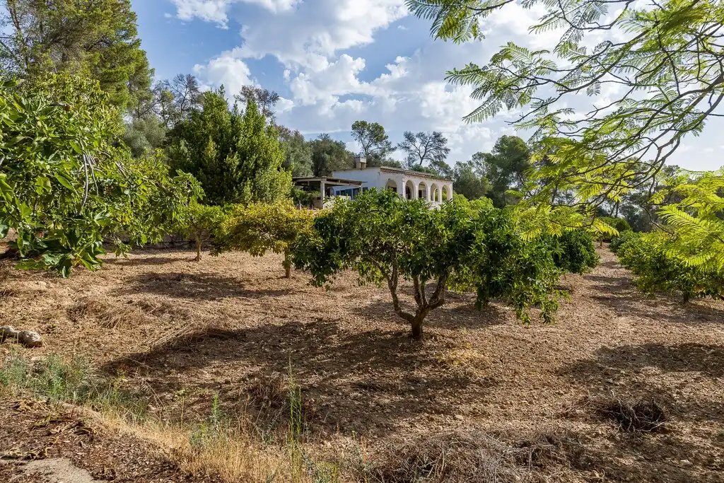Casa rustica con giardino in vendita a Algaida, imagen 32
