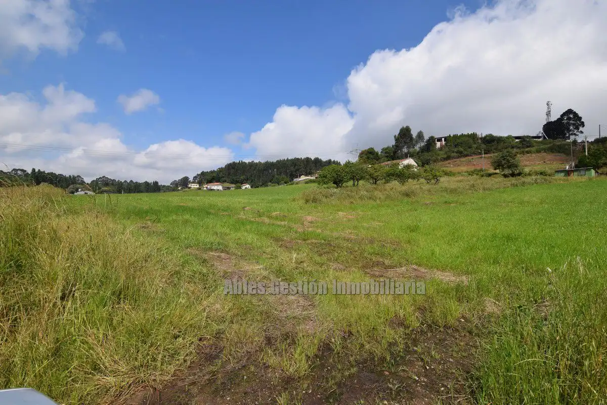 Finca rústica en venta en Carreño