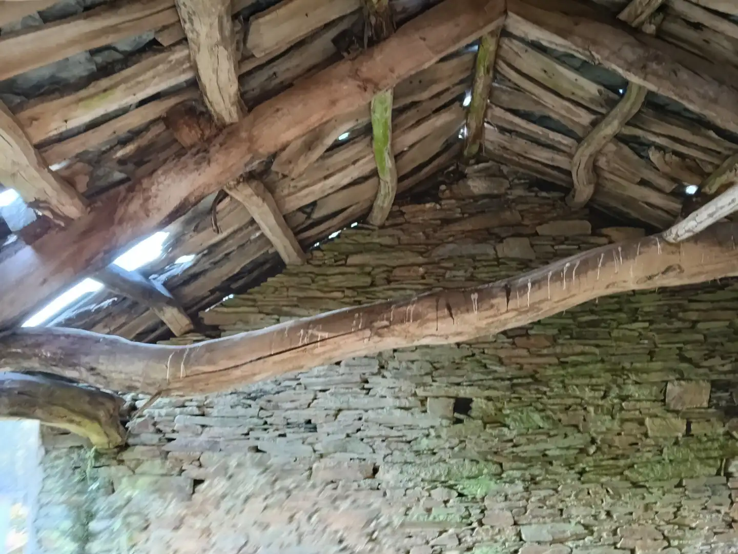 Houses for sale in Guitiriz  with Private garden and Storage room